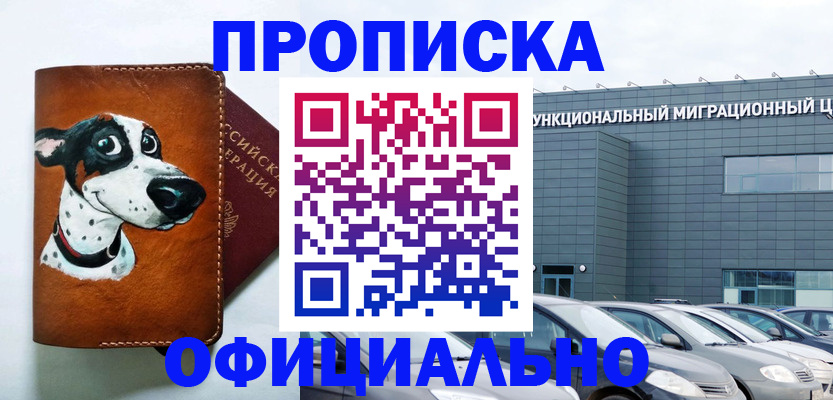 временная прописка в Палласовке